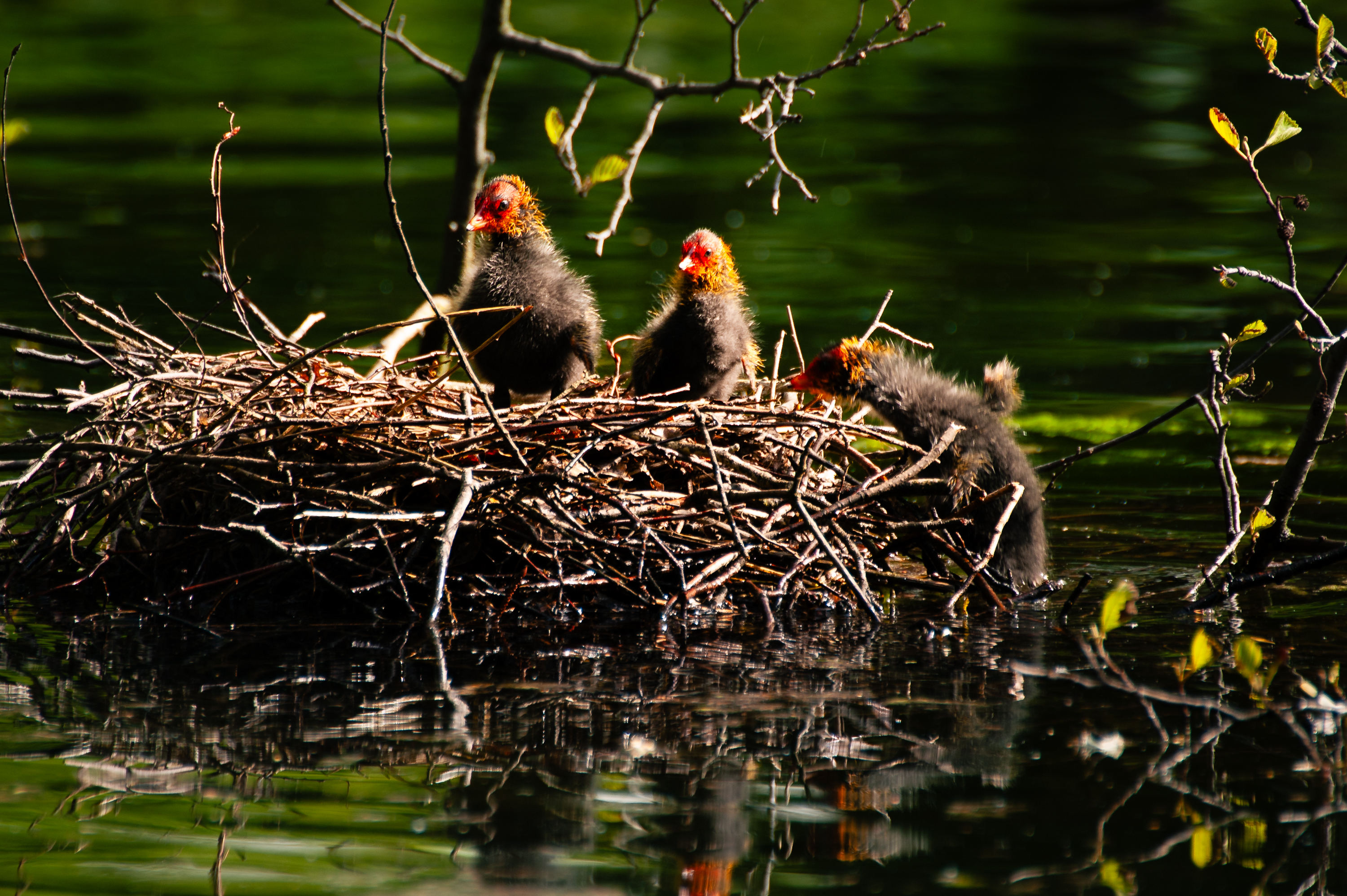 VHS Nymphenburg - 02227